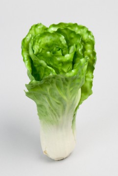 Salat 25cm