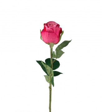 Rose 50cm rosa