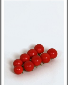 Små tomater på kvist