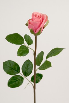 Rose 50cm Rosa