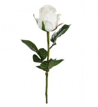 Rose 50cm hvit
