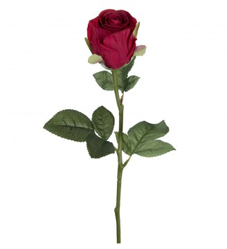 Rose 50cm rød