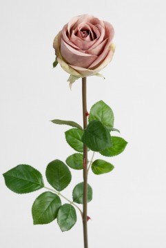 Rose 75cm Lilla