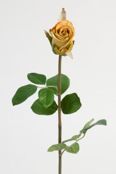 Rose 50cm Grønn
