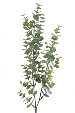 Eukalyptusgren 74cm