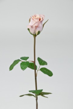 Rose 50cm Lilla