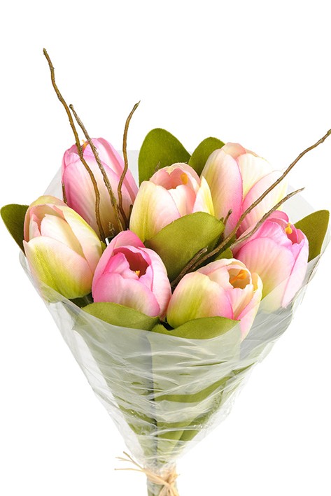 Tulipanbukett
Høyde : 30cm
